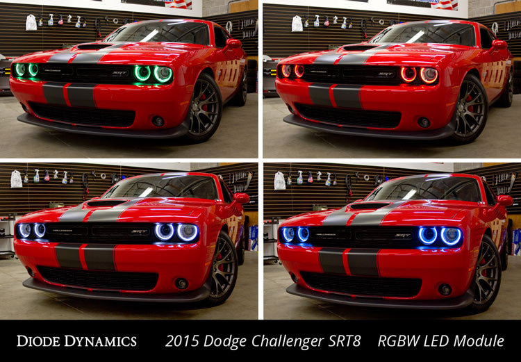Diode Dynamics RGBW DRL LED Boards for 2015-2021 Dodge Challenger