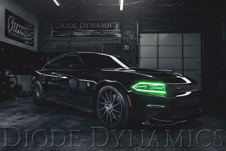 Diode Dynamics 2015-2018 Dodge Charger RGBW DRL LED Boards - Apollo Optics