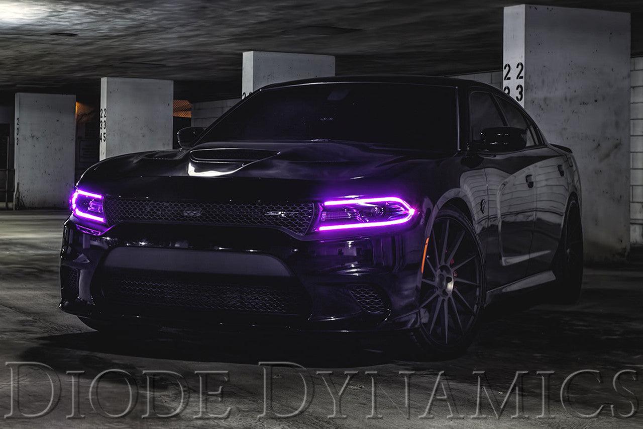 Diode Dynamics 2015-2018 Dodge Charger RGBW DRL LED Boards - Apollo Optics
