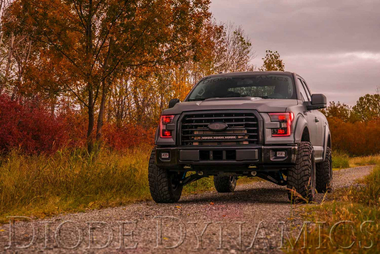 Diode Dynamics 2015-2016 Ford F-150 RGBW LED Boards